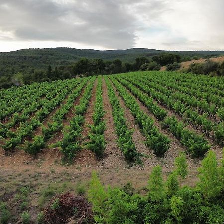 Chambre D'Hotes La Cadiere D'Azur Εξωτερικό φωτογραφία